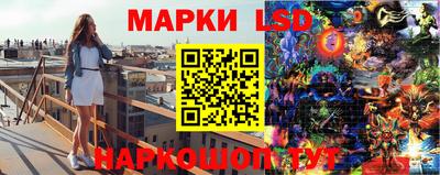 гашик Будённовск