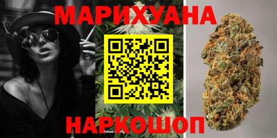 гашик Будённовск
