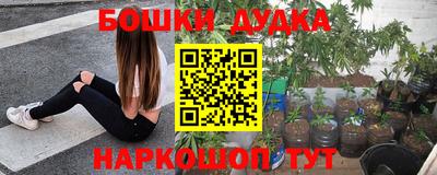 гашик Будённовск
